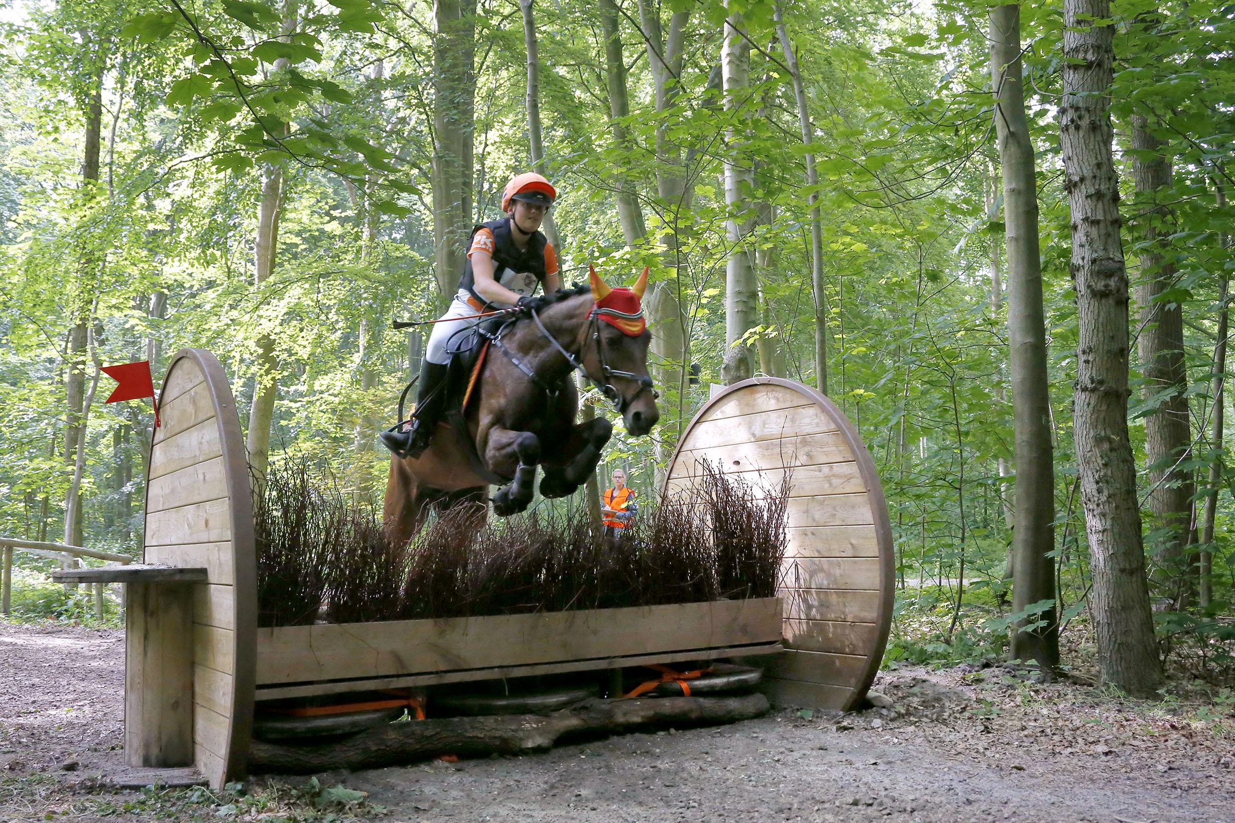 Paarden zetten angst opzij in jaarlijkse Dijkgatboscross. Ook stonden te | Noordhollandsdagblad