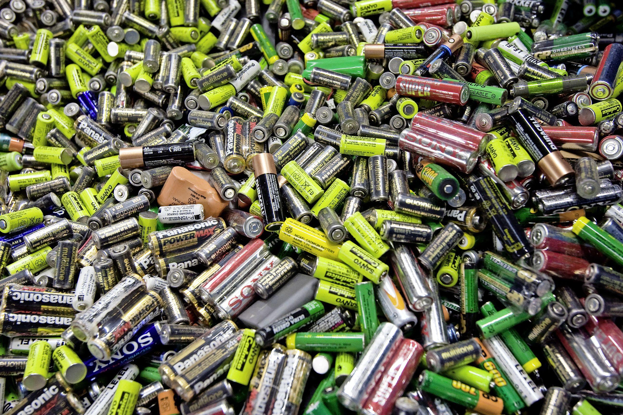poort Meer dan wat dan ook De daadwerkelijke Drie West-Friezen door Stichting Batterijen verrast met Nationale Tuinbon |  Noordhollandsdagblad