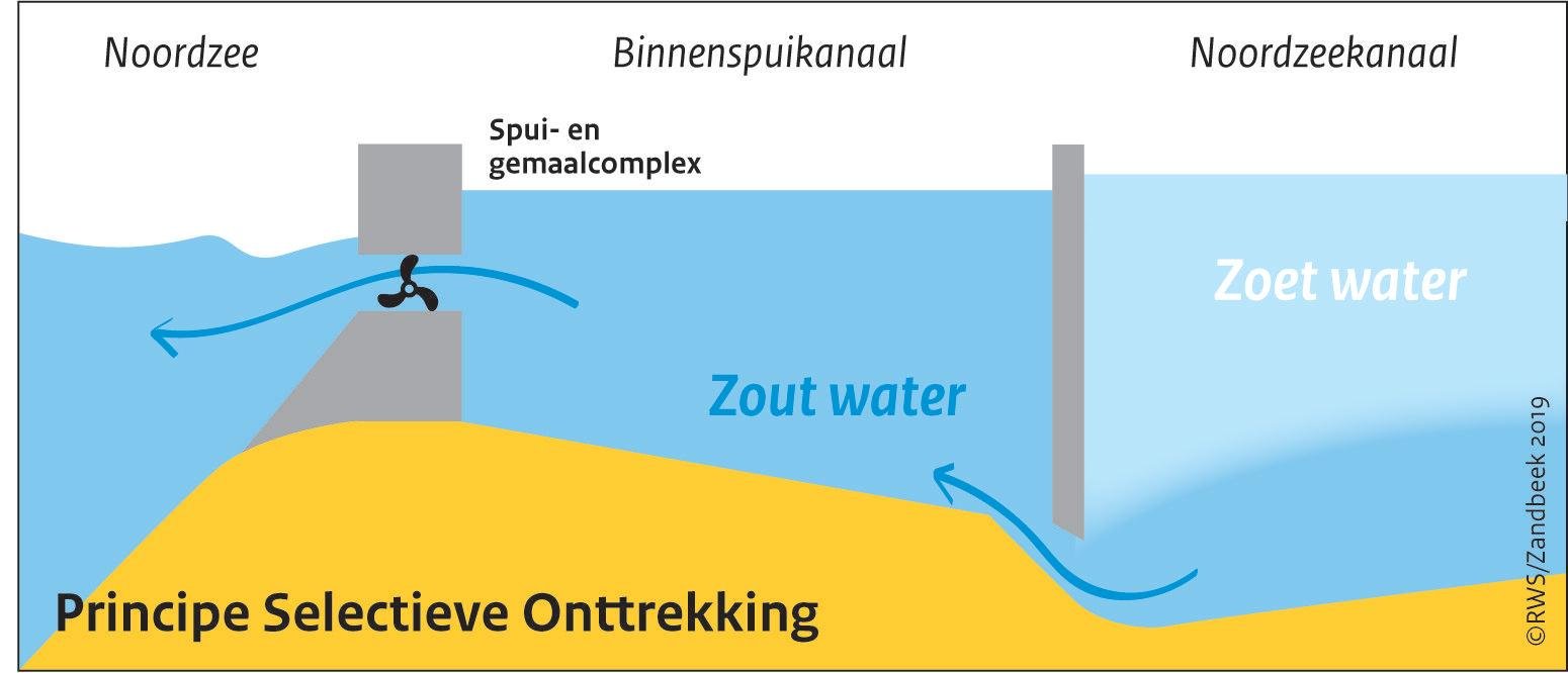 Vierde Kers Noord Aanpak van zout water bij sluizen IJmuiden | Noordhollandsdagblad