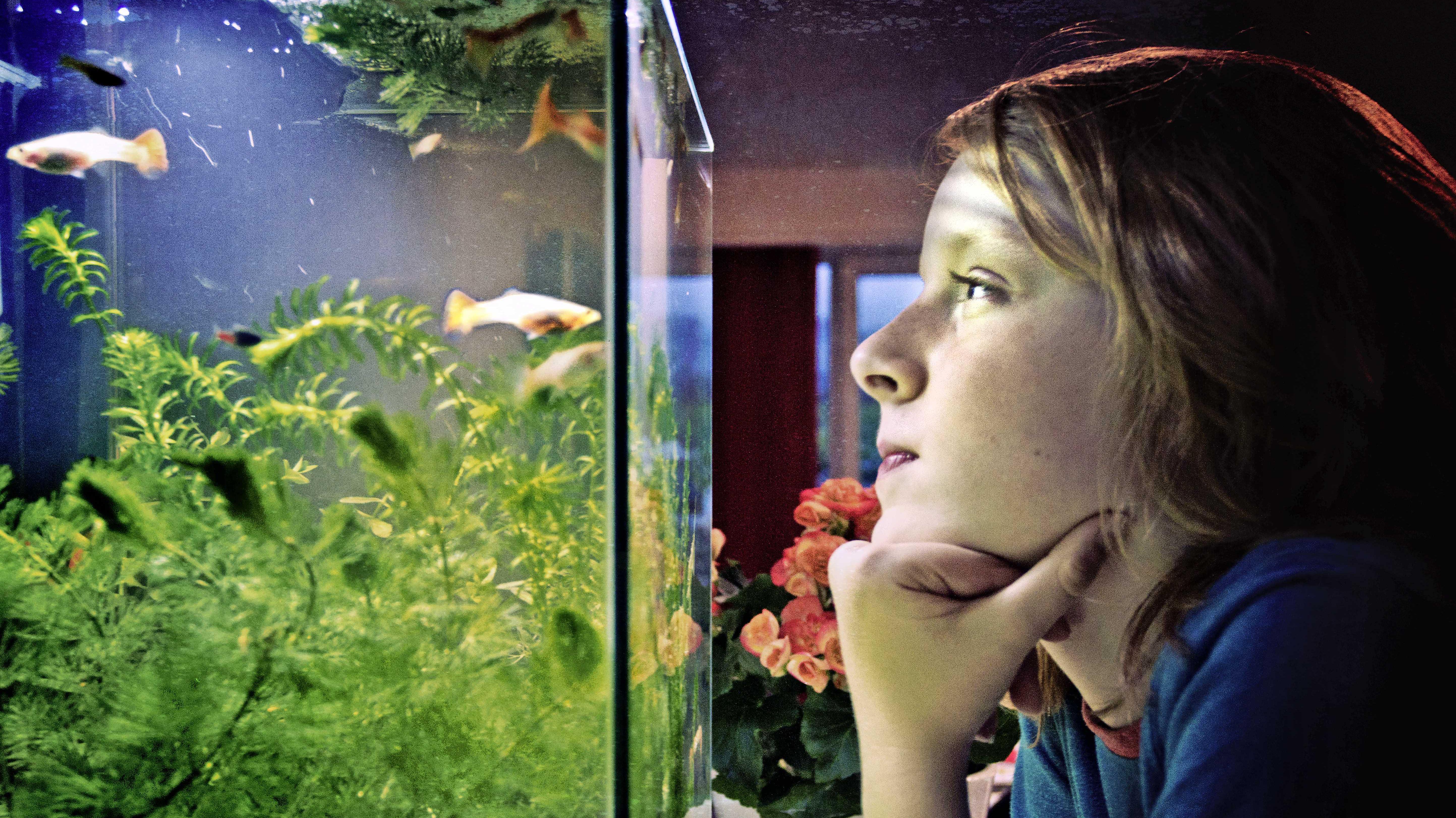 Аквариум наблюдать. Аквариум (Fish Tank) 2009. Человек в аквариуме. Фотосессия с рыбкой в аквариуме. Девушка в аквариуме.